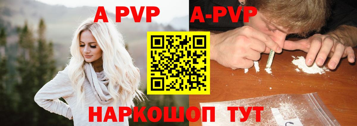 A-PVP СК КРИС Владикавказ